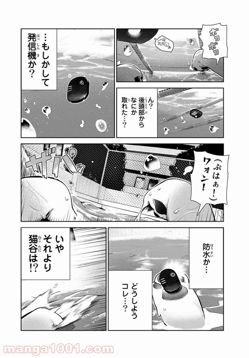 犬になったら好きな人に拾われた。 - 第14話 - Page 6