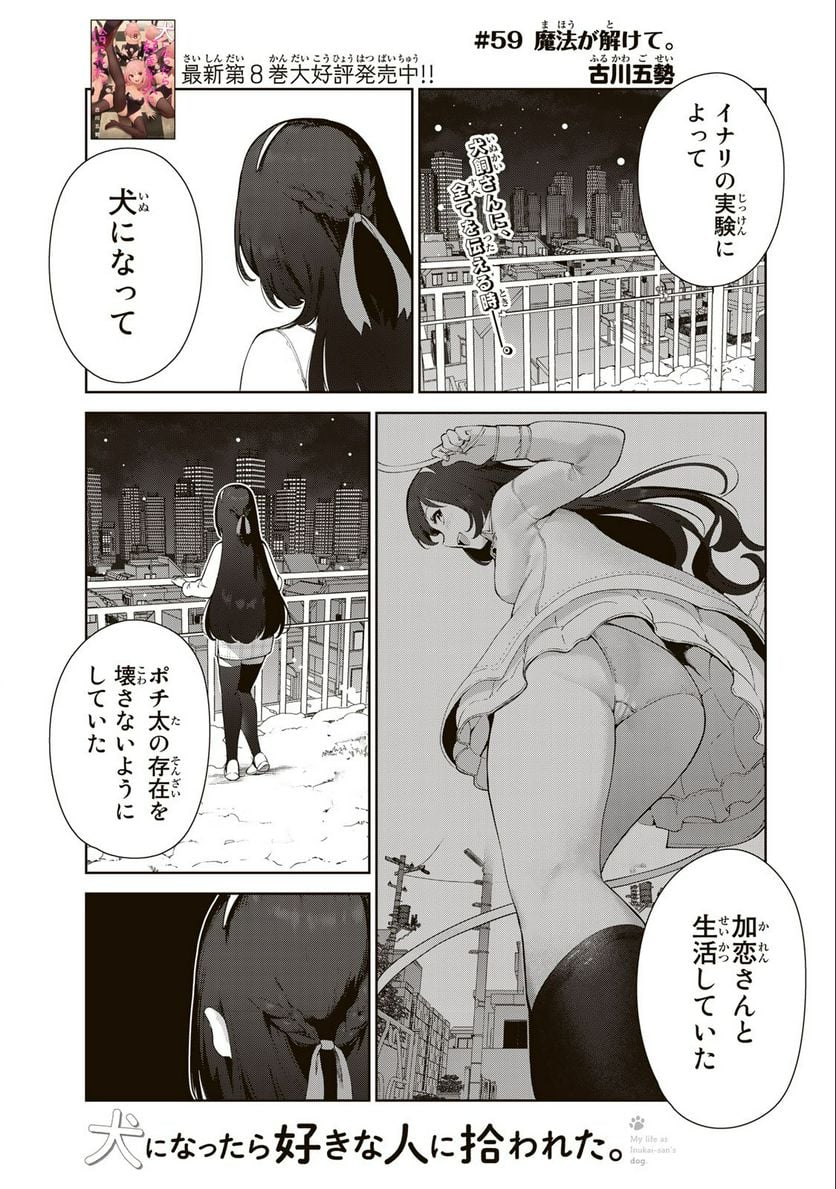 犬になったら好きな人に拾われた。 第59話 - Page 1