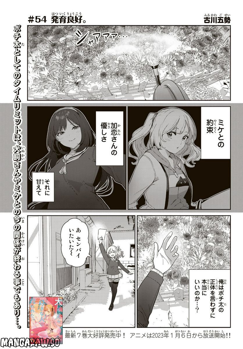 犬になったら好きな人に拾われた。 第54話 - Page 1