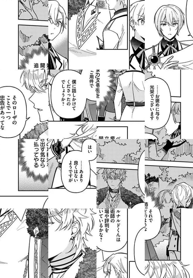 貴腐人ローザは陰から愛を見守りたい 第13.3話 - Page 11