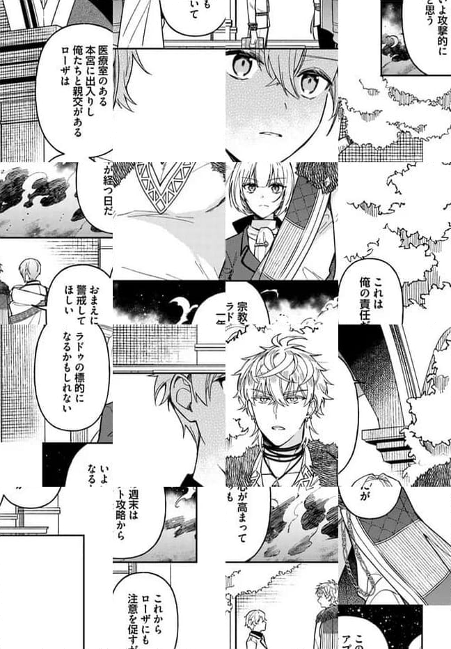 貴腐人ローザは陰から愛を見守りたい 第13.3話 - Page 13