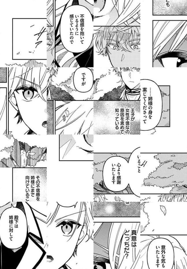 貴腐人ローザは陰から愛を見守りたい 第13.3話 - Page 14