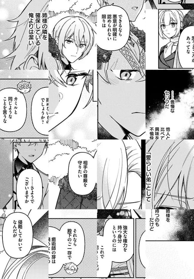 貴腐人ローザは陰から愛を見守りたい 第13.3話 - Page 16