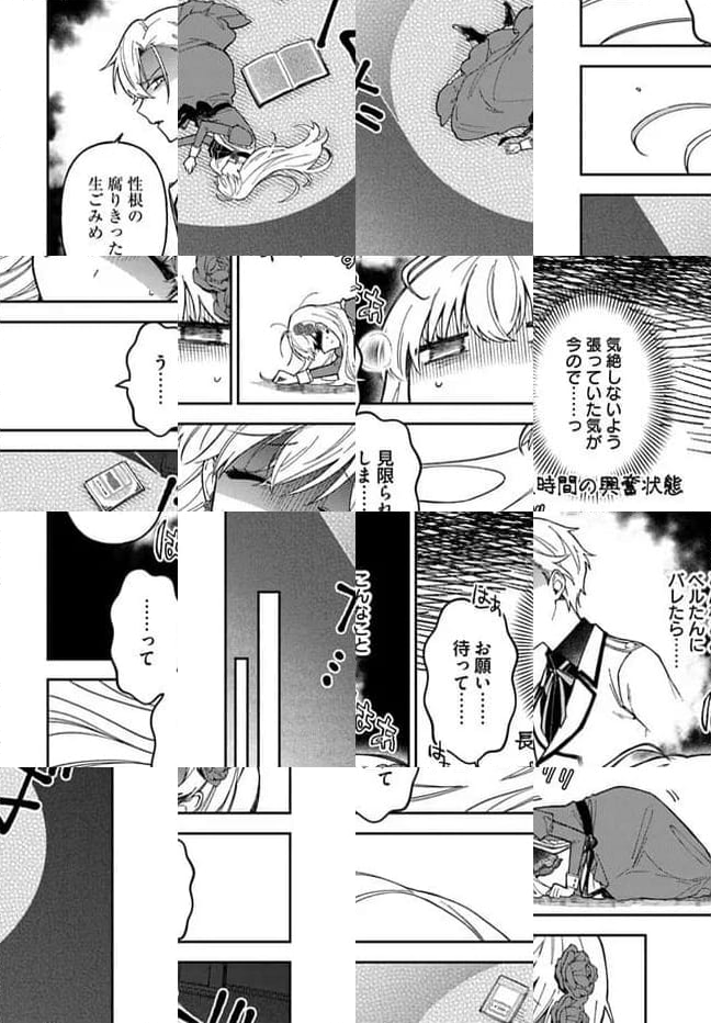 貴腐人ローザは陰から愛を見守りたい 第13.3話 - Page 6