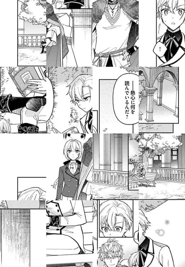 貴腐人ローザは陰から愛を見守りたい 第13.3話 - Page 7