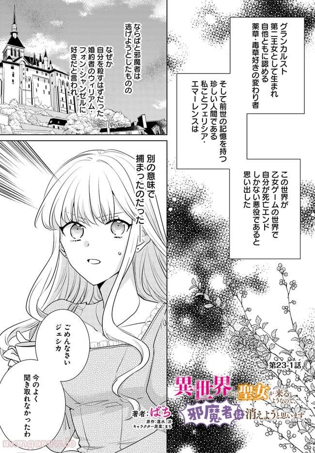 異世界から聖女が来るようなので、邪魔者は消えようと思います 第23.1話 - Page 1