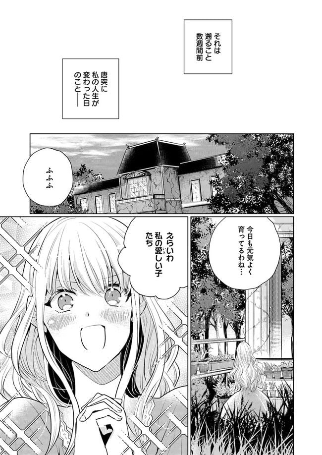 異世界から聖女が来るようなので、邪魔者は消えようと思います 第1話 - Page 5