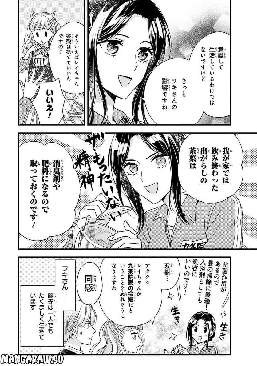 麗子の風儀 悪役令嬢と呼ばれていますが、ただの貧乏娘です 第18.5話 - Page 4