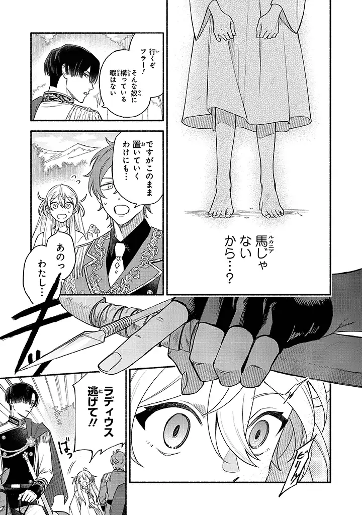 前世冷徹王子の馬でした ～人になっても貴方を愛していいですか？～ - 第1話 - Page 17