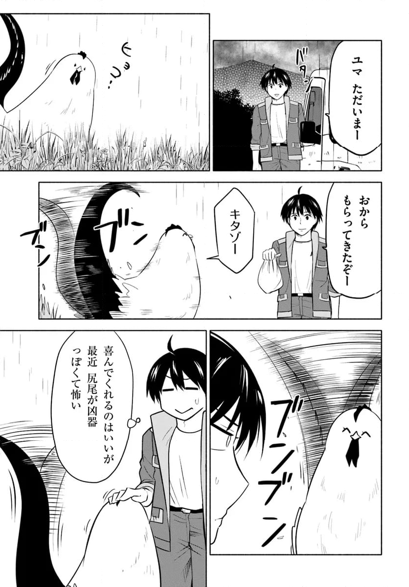 前略、山暮らしを始めました 第18話 - Page 11