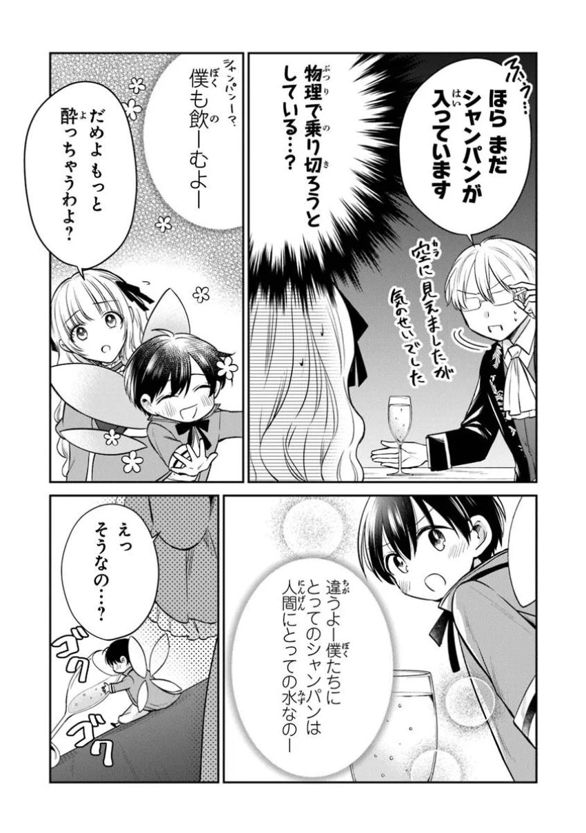 義妹が聖女だからと婚約破棄されましたが、私は妖精の愛し子です 第25.1話 - Page 3