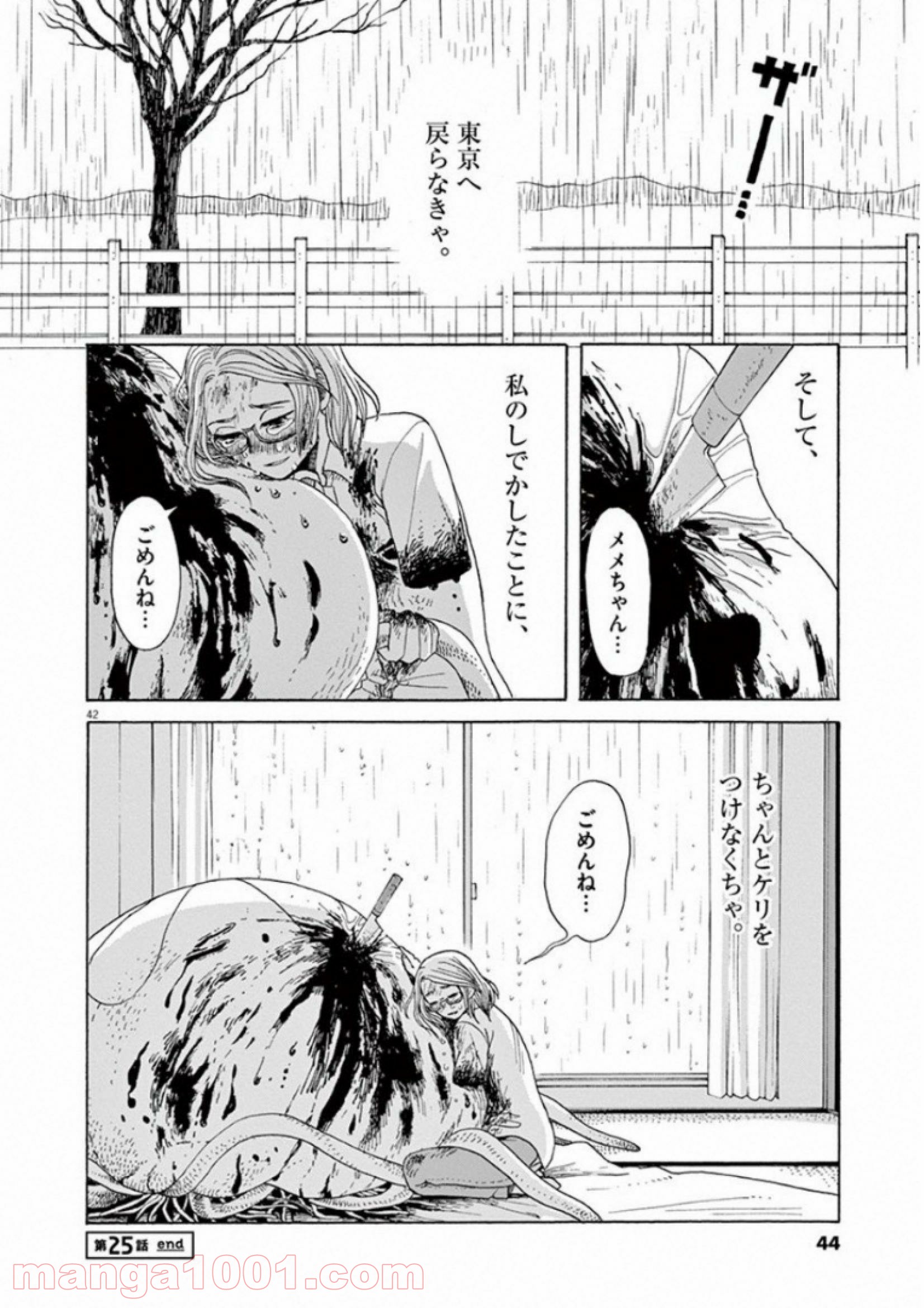 あげくの果てのカノン 第25話 - Page 42