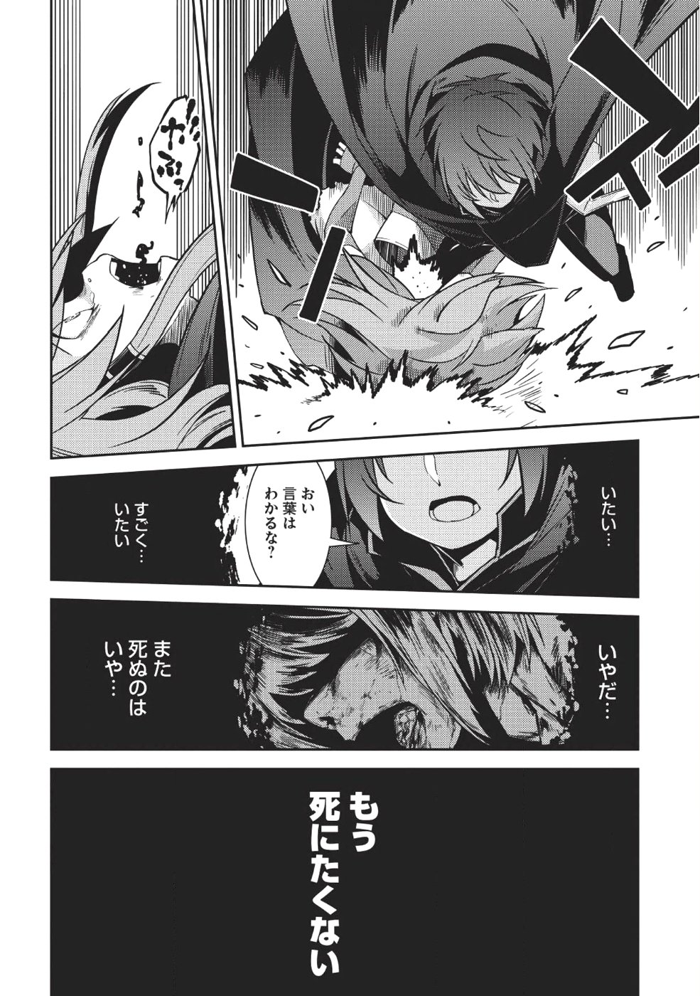 精霊幻想記 ～こんな世界で出会えた君に～ (みなづきふたご) 第16話 - Page 11