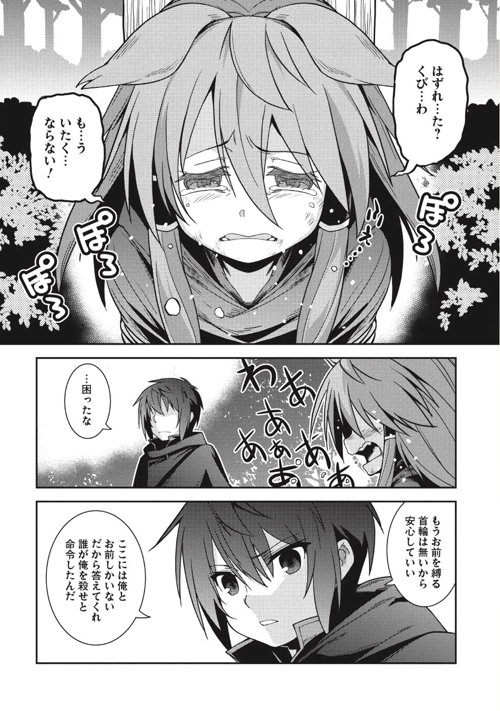 精霊幻想記 ～こんな世界で出会えた君に～ (みなづきふたご) 第16話 - Page 17