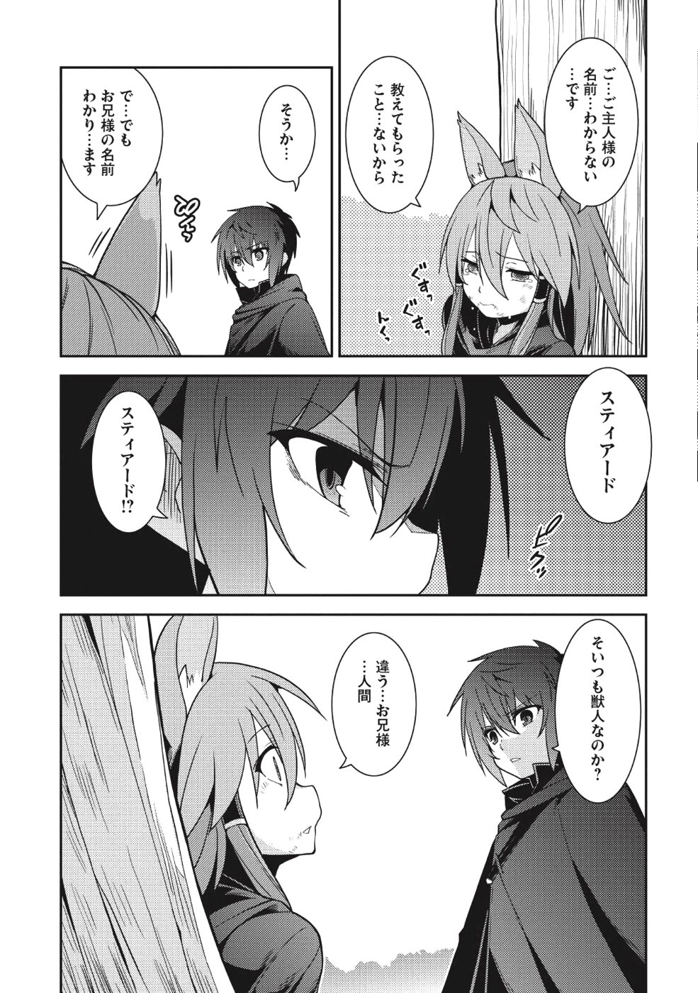 精霊幻想記 ～こんな世界で出会えた君に～ (みなづきふたご) 第16話 - Page 18