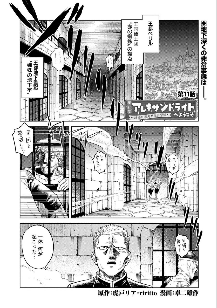 魔石屋アレキサンドライトへようこそ ～規格外魔石で商売繁盛～ 第11話 - Page 1