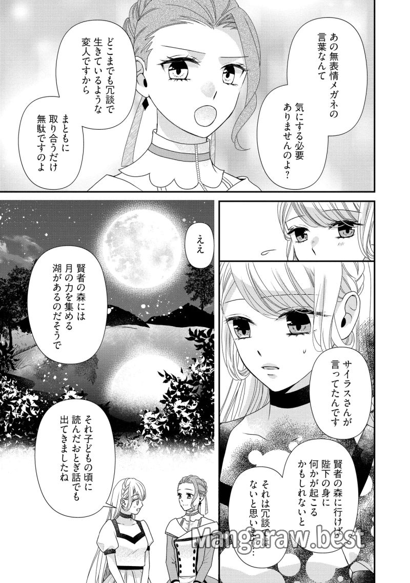 身代わり婚約者なのに、銀狼陛下がどうしても離してくれません！ 第26.3話 - Page 5