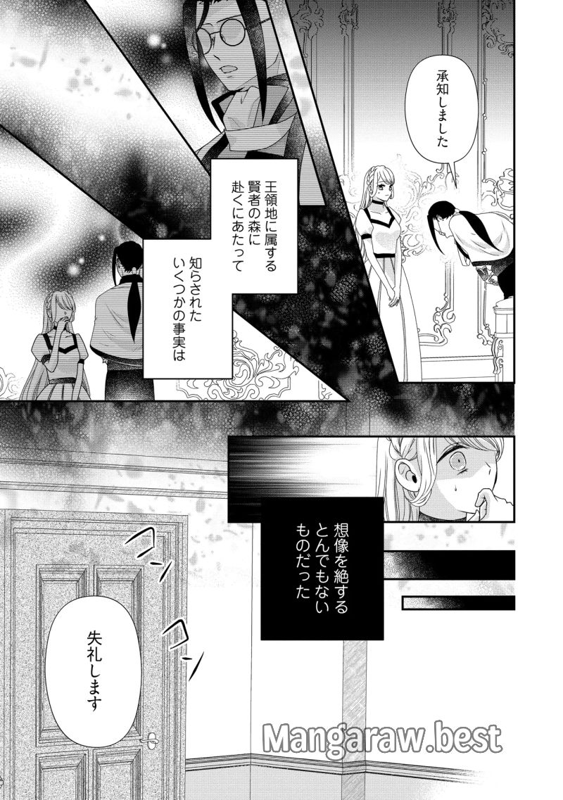 身代わり婚約者なのに、銀狼陛下がどうしても離してくれません！ 第25.4話 - Page 5