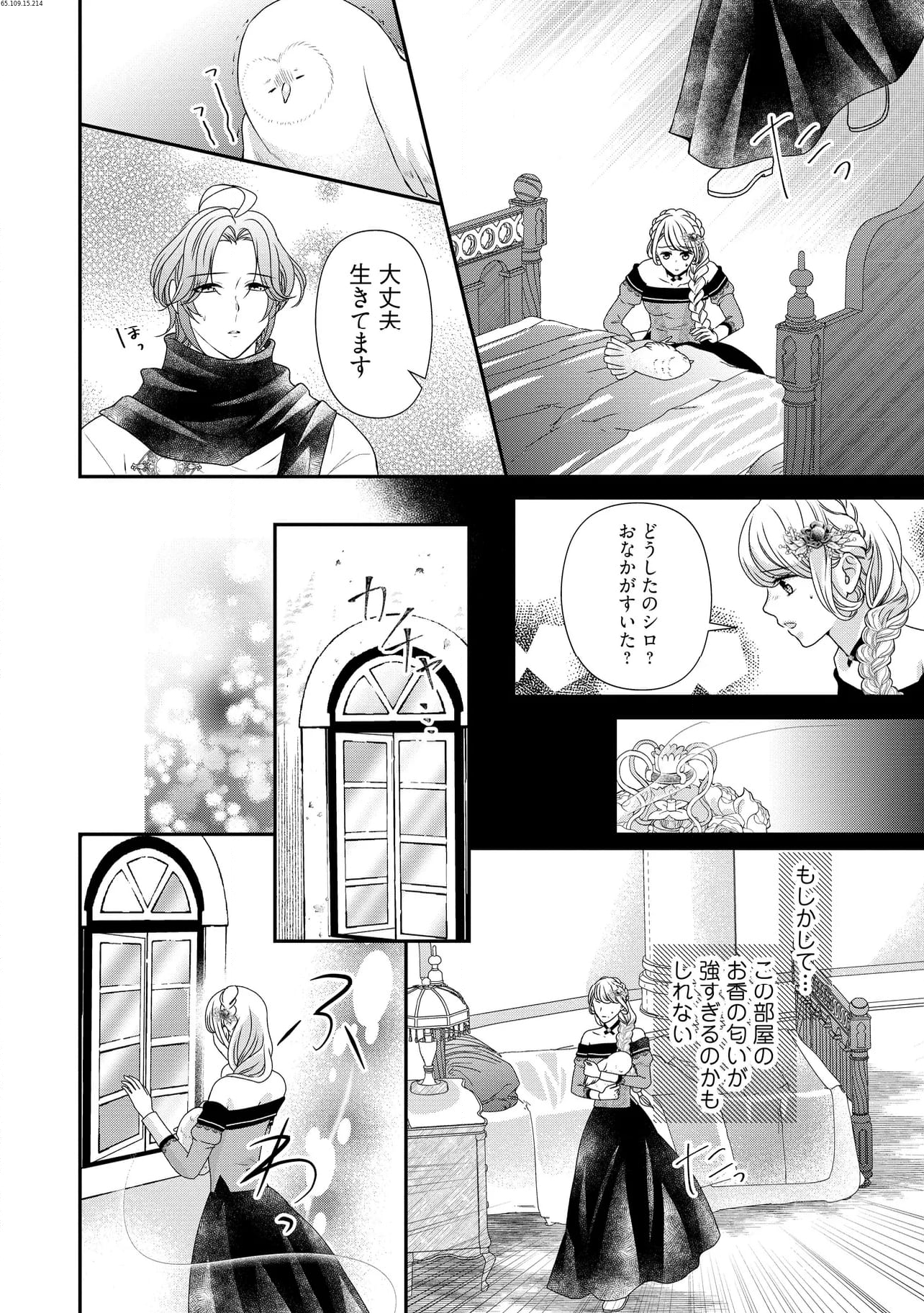 身代わり婚約者なのに、銀狼陛下がどうしても離してくれません！ 第22.3話 - Page 1