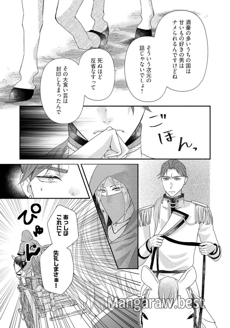 身代わり婚約者なのに、銀狼陛下がどうしても離してくれません！ - 第27.3話 - Page 3