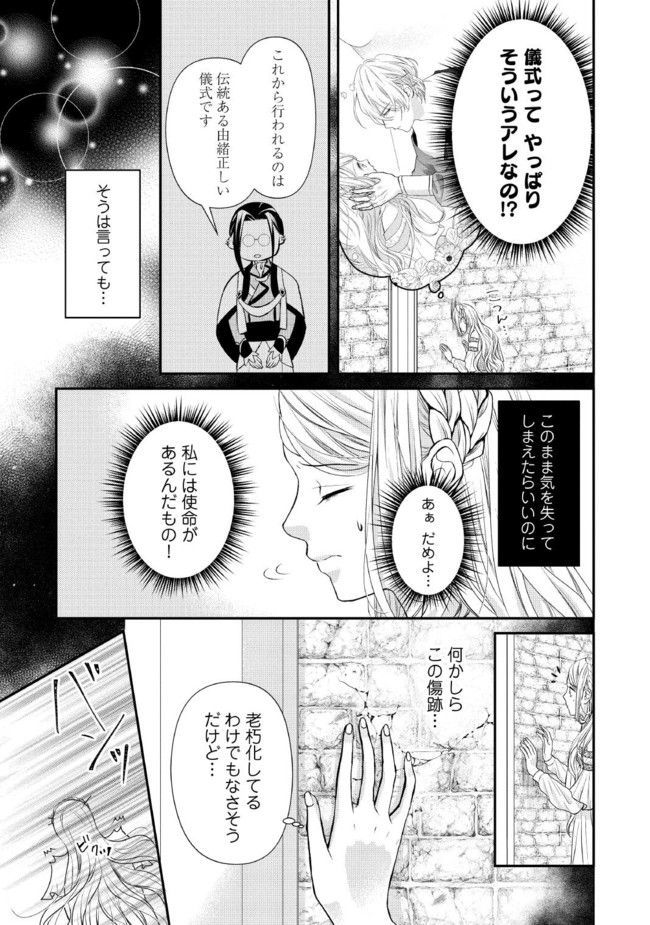 身代わり婚約者なのに、銀狼陛下がどうしても離してくれません！ 第2.1話 - Page 3