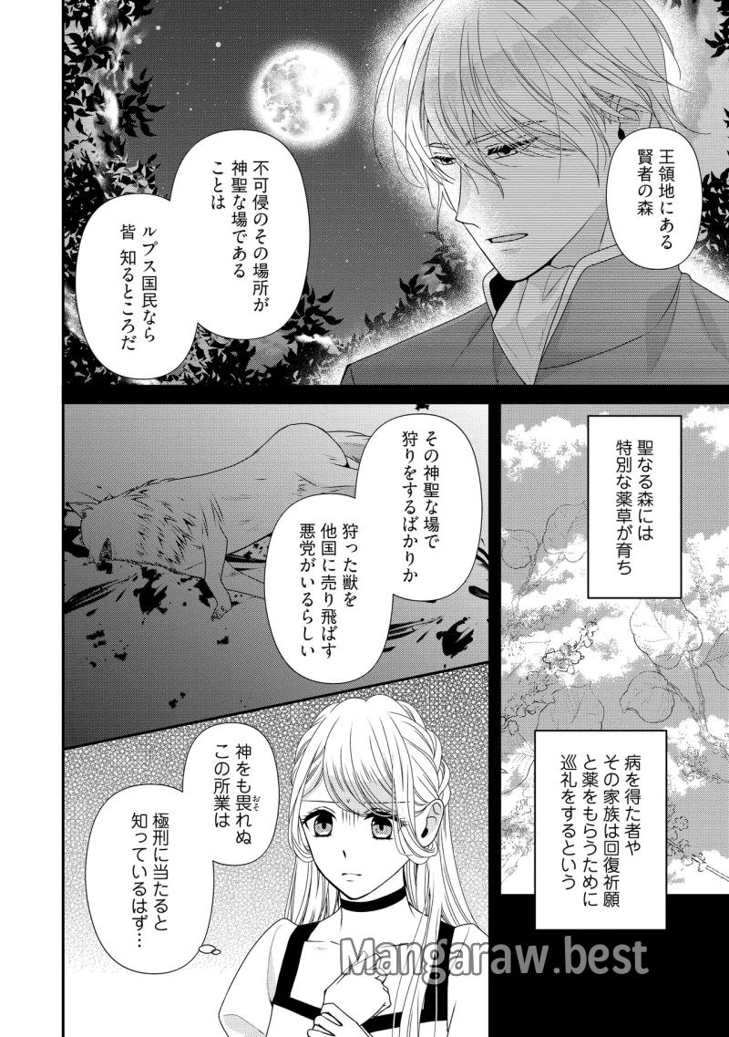 身代わり婚約者なのに、銀狼陛下がどうしても離してくれません！ 第26.1話 - Page 2