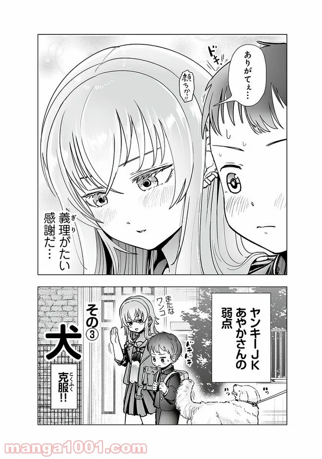 ヤンキーJKあやかさんの弱点 第3話 - Page 6