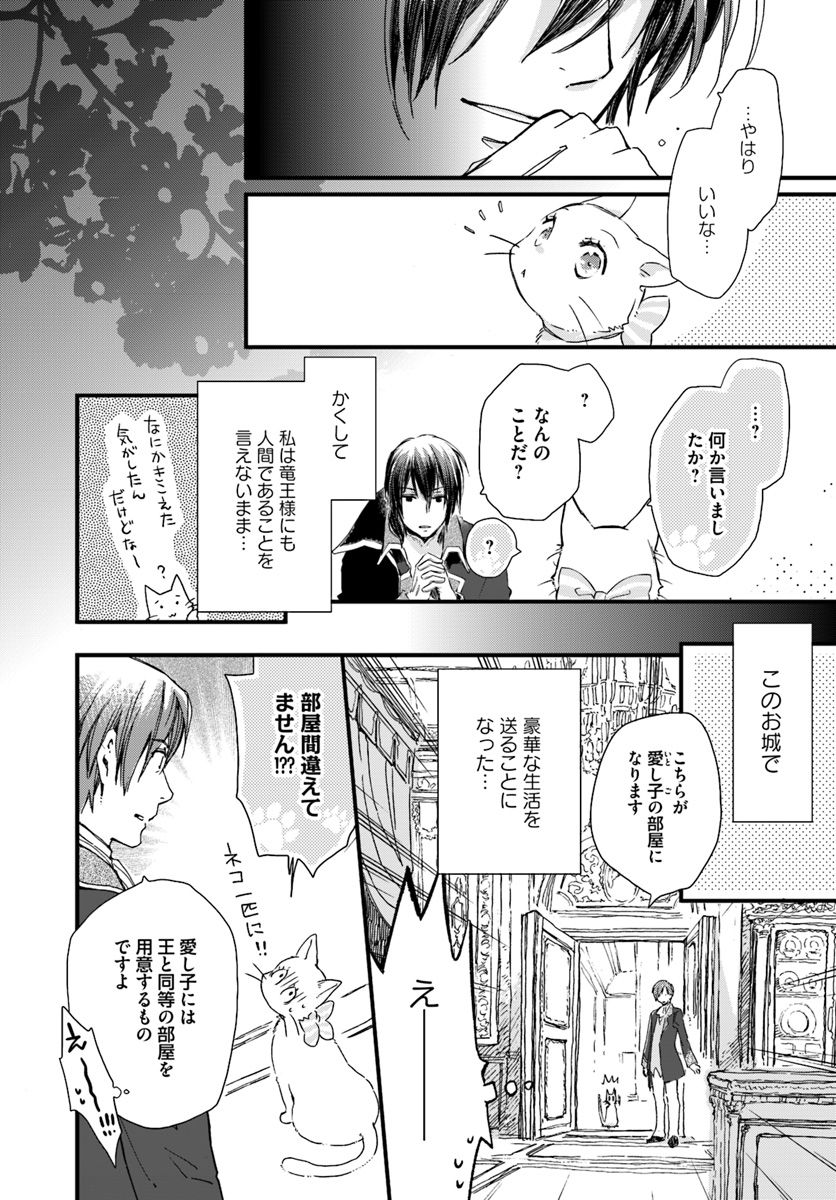 復讐を誓った白猫は竜王の膝の上で惰眠をむさぼる 第8.2話 - Page 3