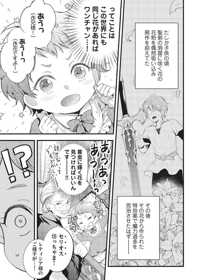 グランアヴェール お守りの魔導師は最推しラスボスお兄様を救いたい 第1話 - Page 19