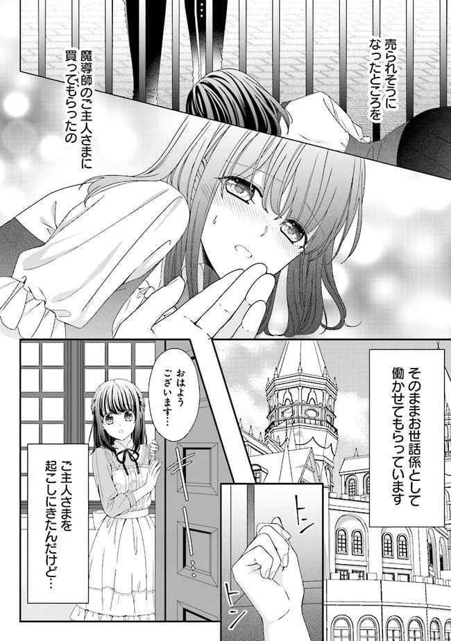 異世界で絶倫魔導師に買われたらメチャクチャ溺愛されています。 第1話 - Page 2