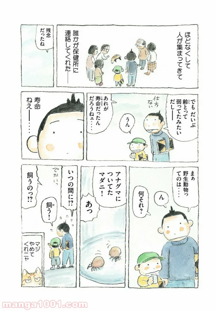 老猫ユキポンと漫画家父ちゃんのお仕事なし 第47話 - Page 8