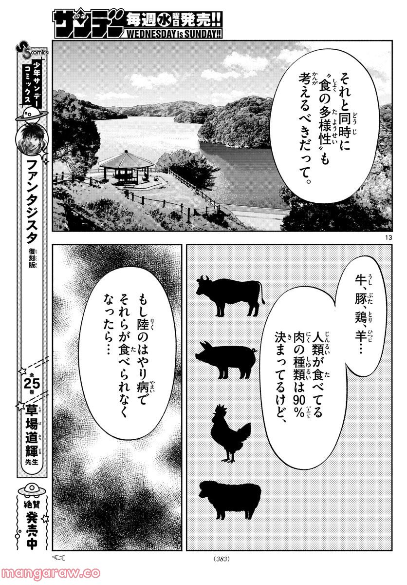 第九の波濤 第221話 - Page 13