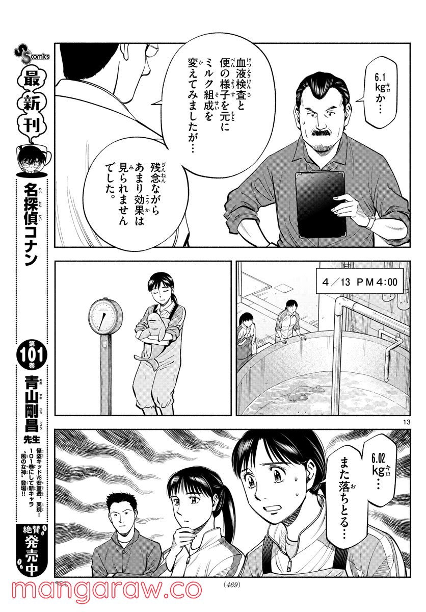 第九の波濤 第199話 - Page 13