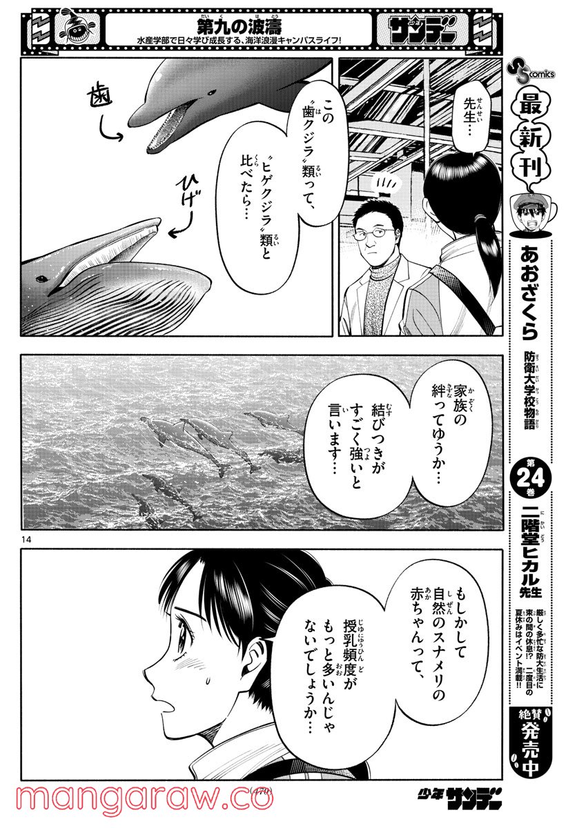 第九の波濤 第199話 - Page 14