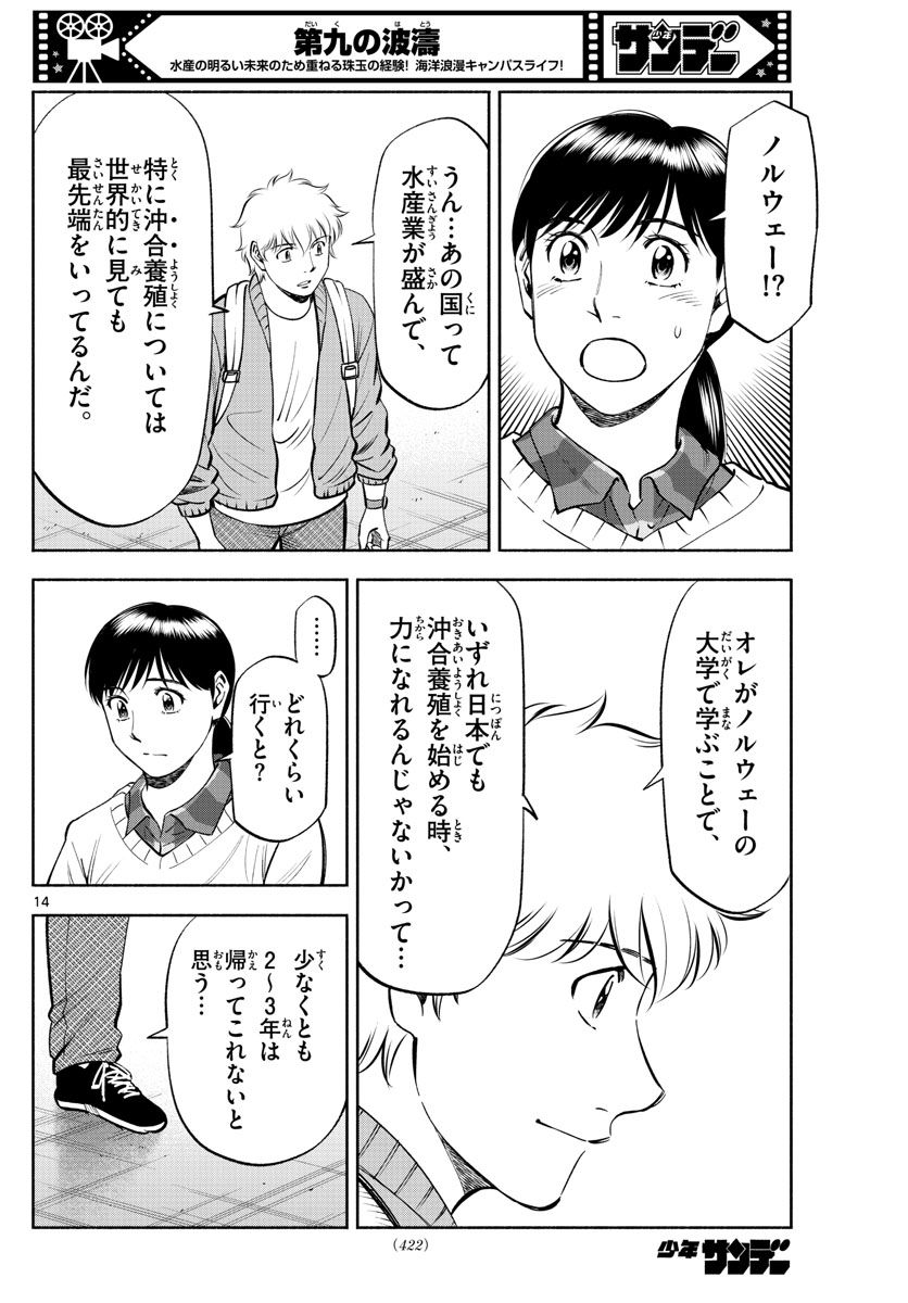 第九の波濤 - 第236話 - Page 14