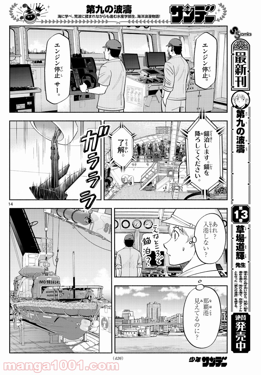 第九の波濤 第159話 - Page 14