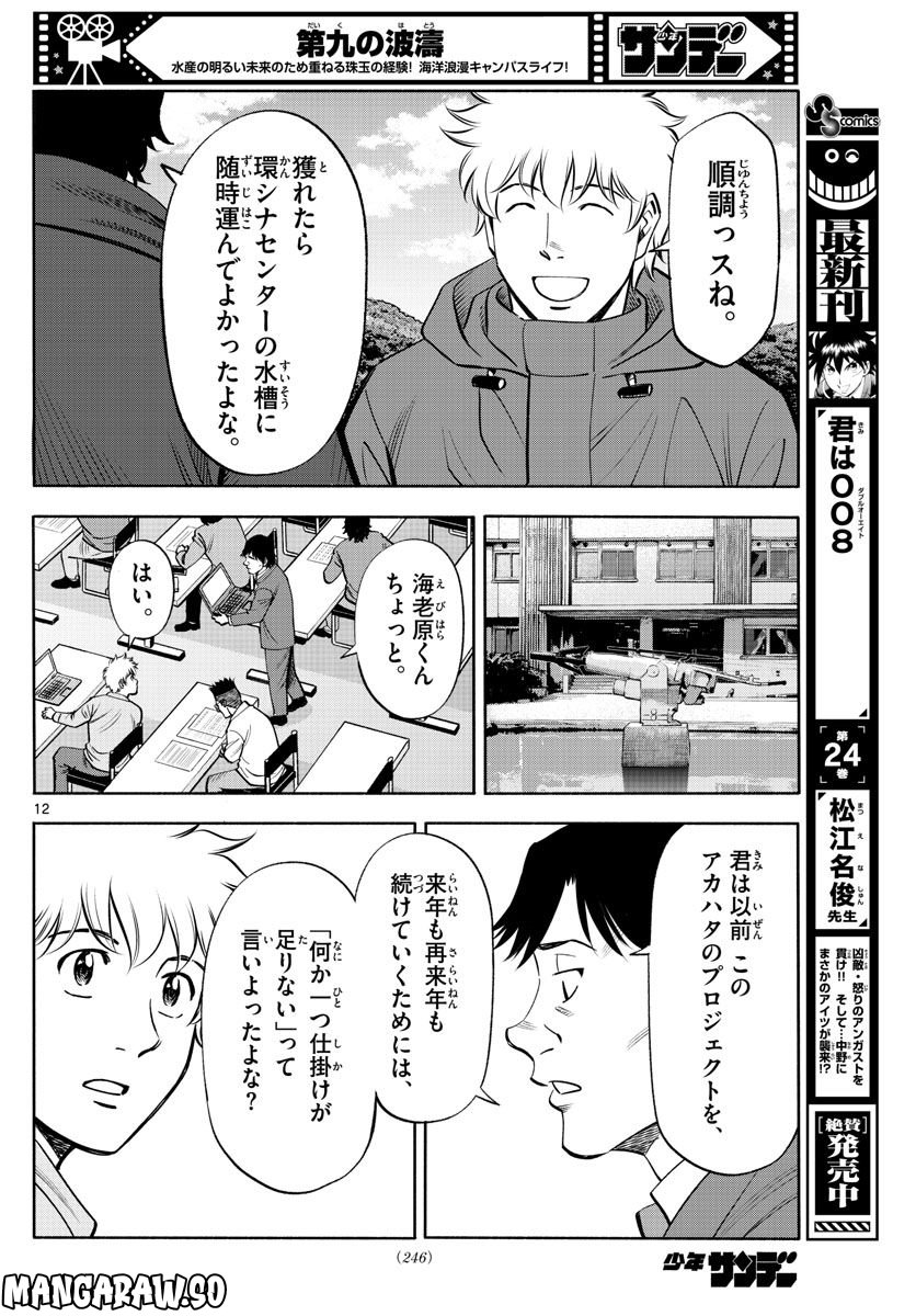 第九の波濤 第229話 - Page 12