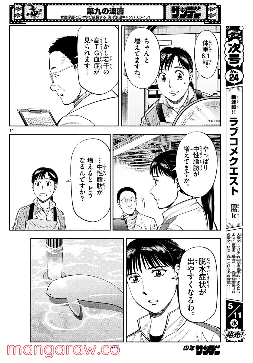 第九の波濤 第200話 - Page 14