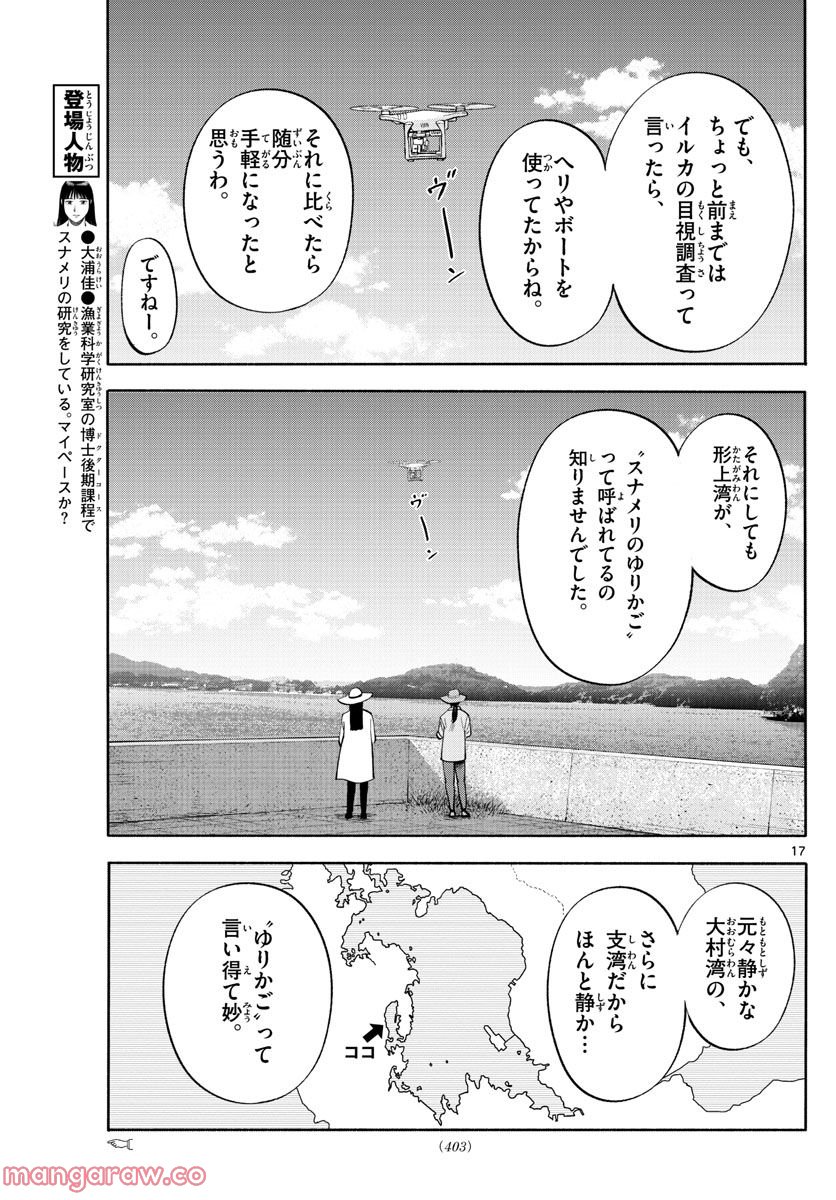 第九の波濤 第220話 - Page 17