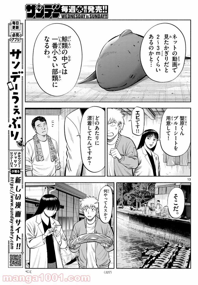 第九の波濤 第185話 - Page 13