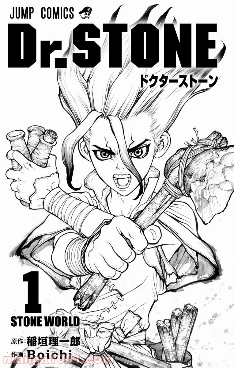 ドクターストーン – DR. STONE 第1話 - Page 2