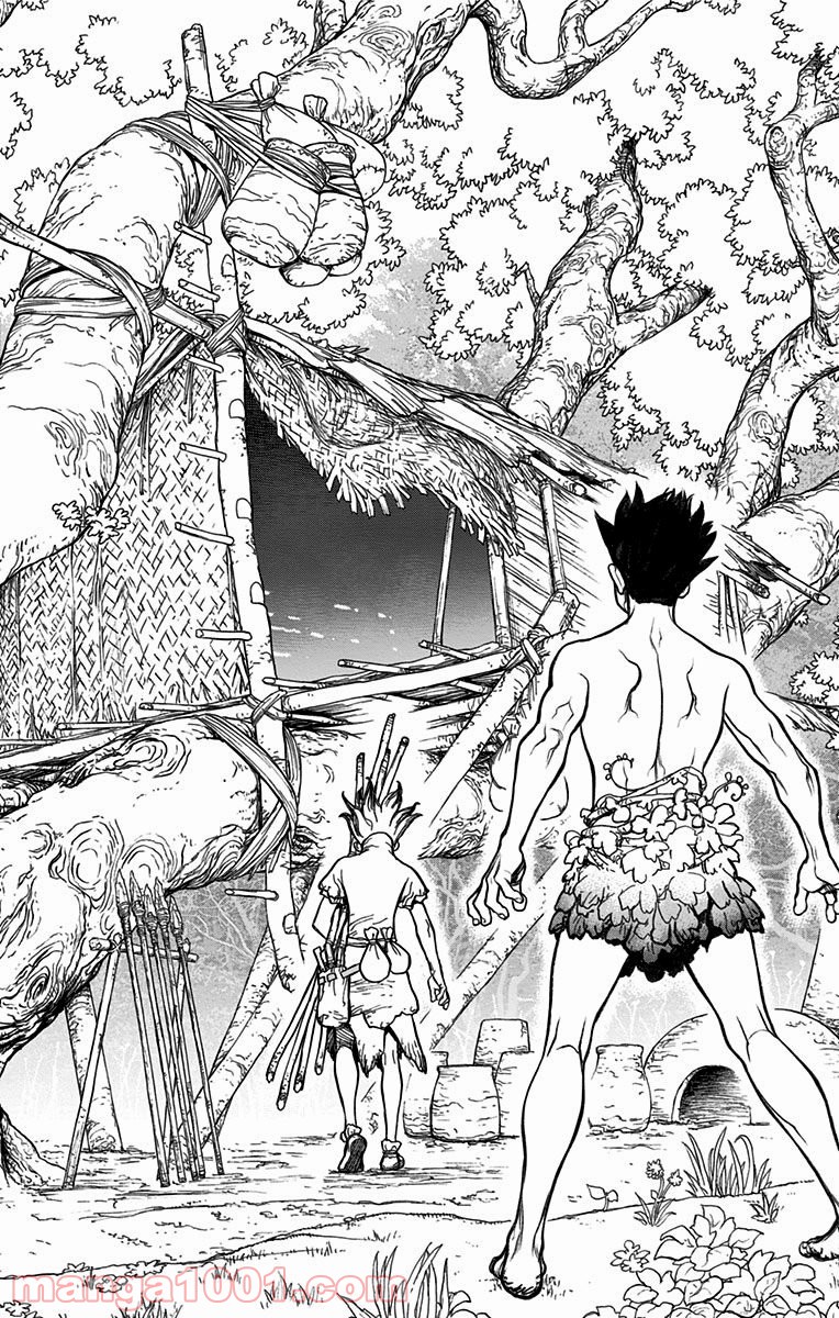 ドクターストーン – DR. STONE 第1話 - Page 50