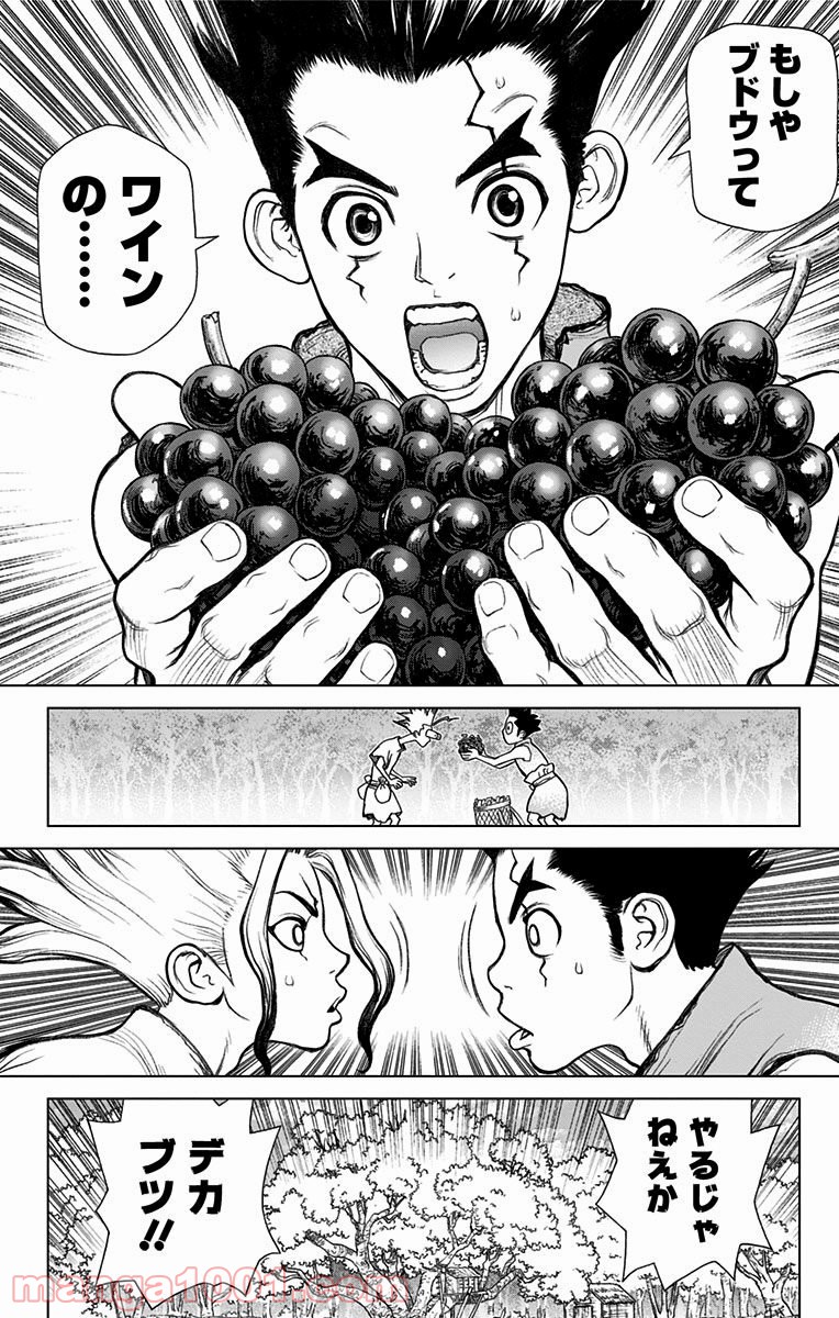 ドクターストーン – DR. STONE 第2話 - Page 12