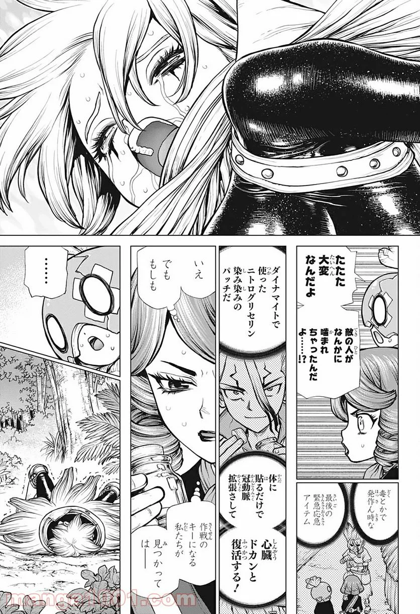 ドクターストーン – DR. STONE 第185話 - Page 15