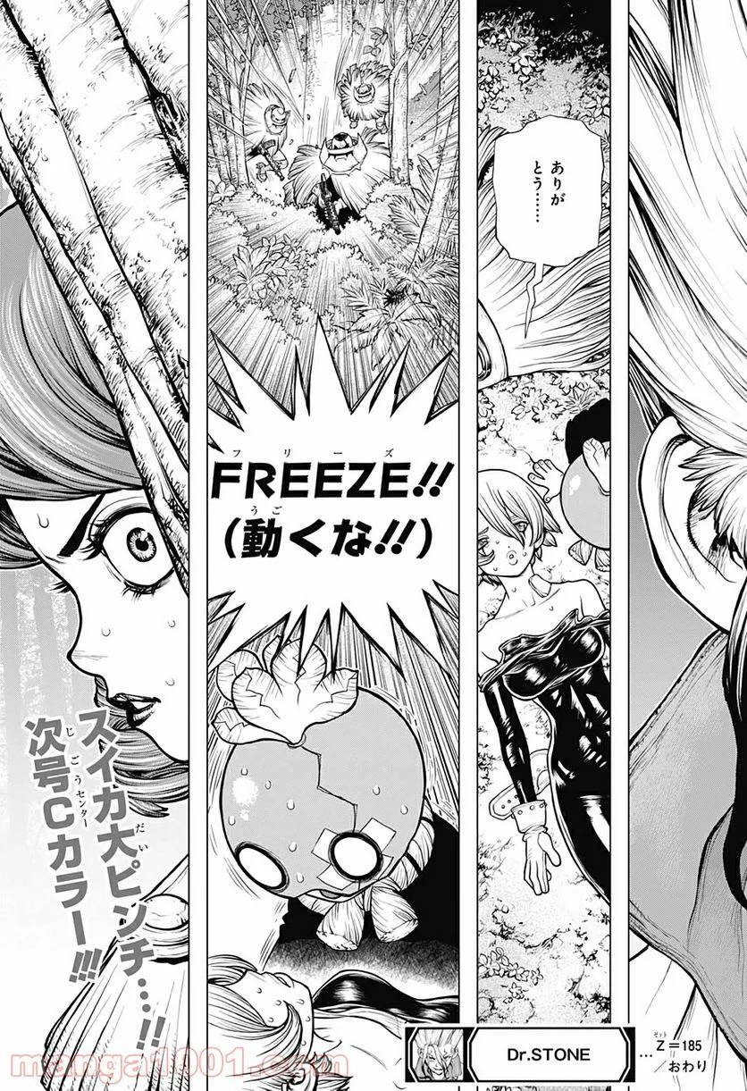 ドクターストーン – DR. STONE 第185話 - Page 19