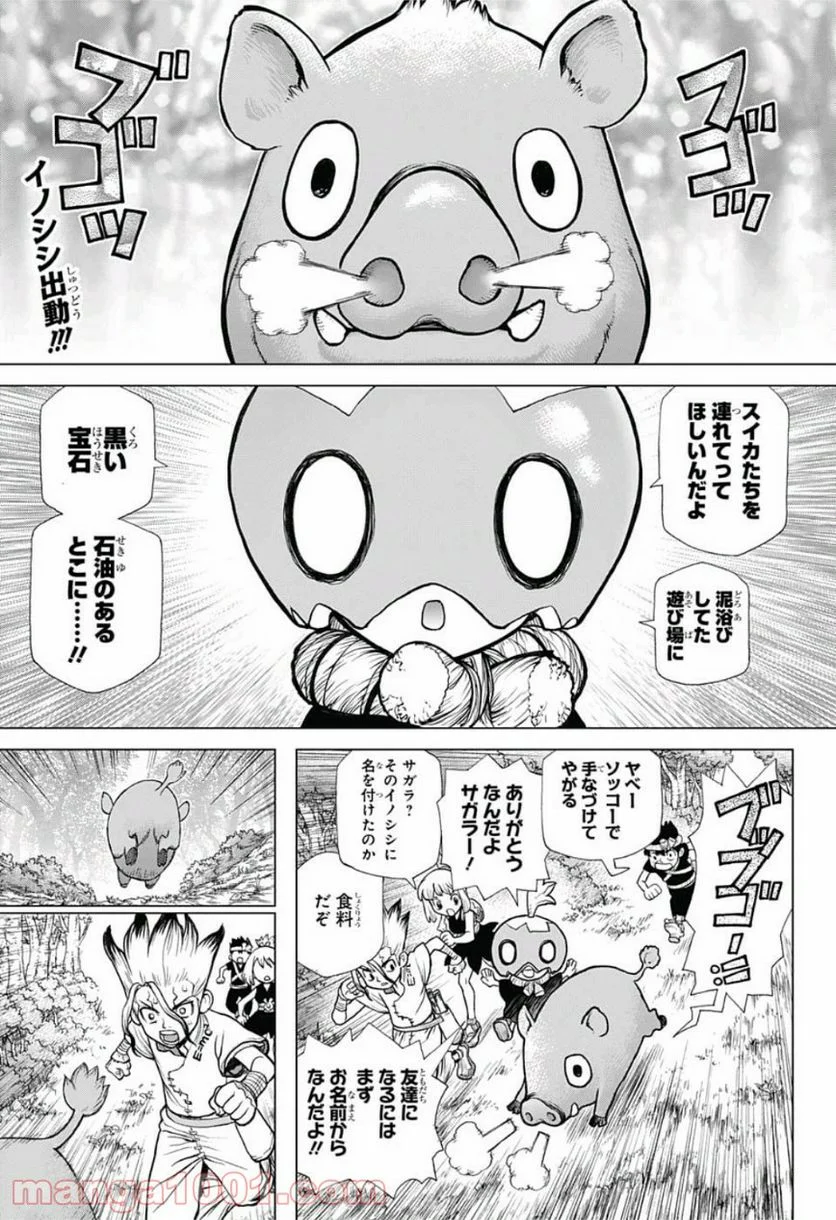 ドクターストーン – DR. STONE 第95話 - Page 5