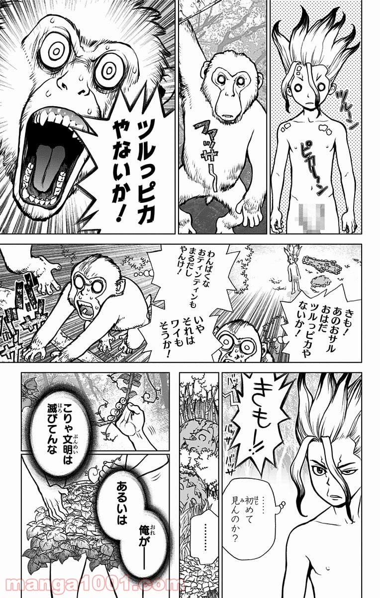 ドクターストーン – DR. STONE 第13話 - Page 5