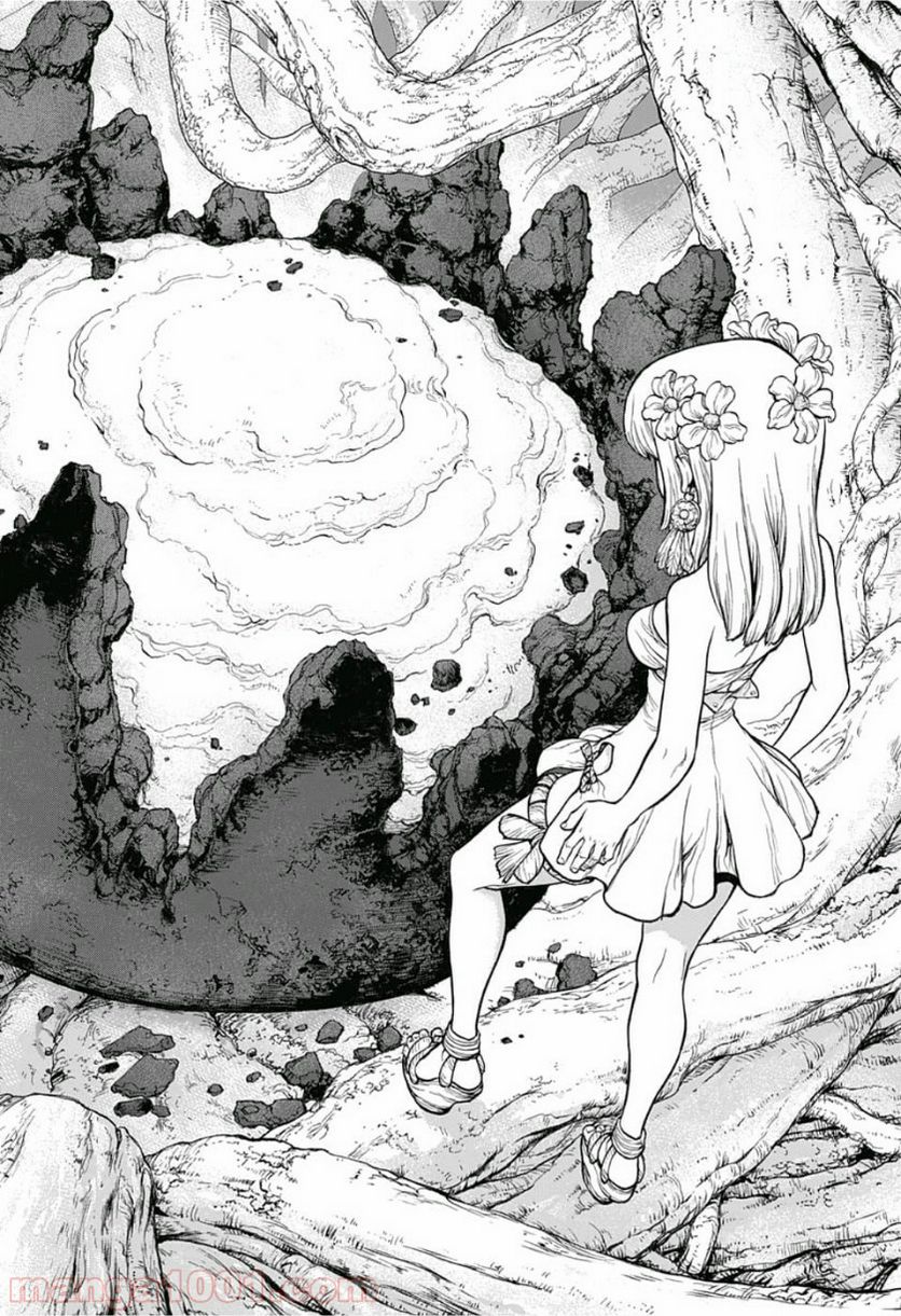 ドクターストーン – DR. STONE 第114話 - Page 4