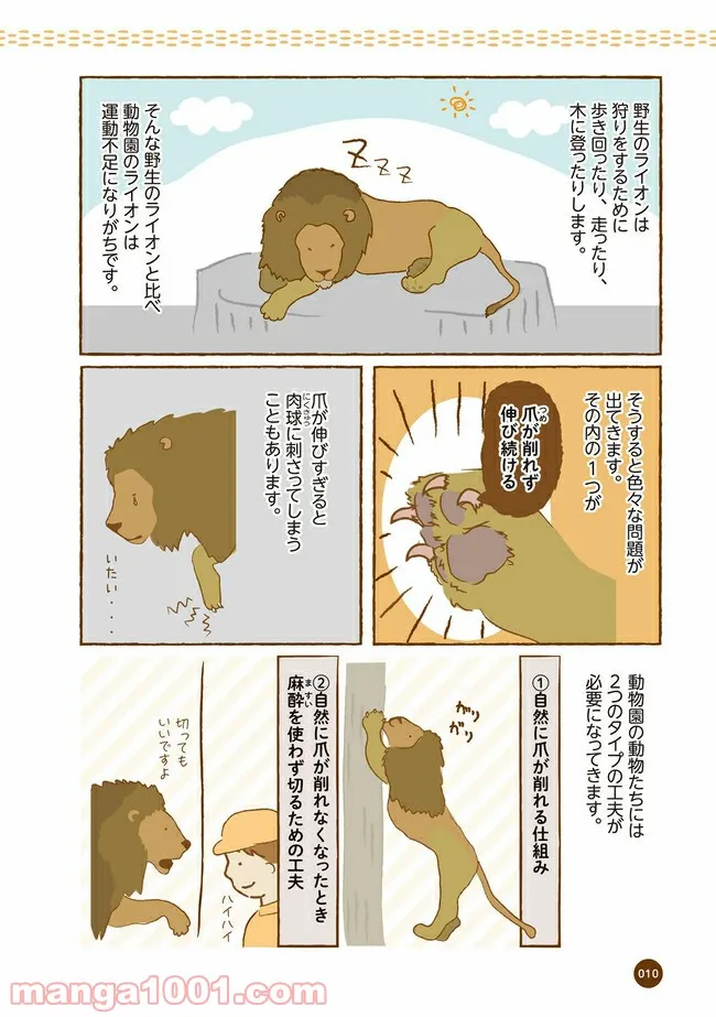 クマが肥満で悩んでます　動物園のヒミツ教えます 第2話 - Page 3