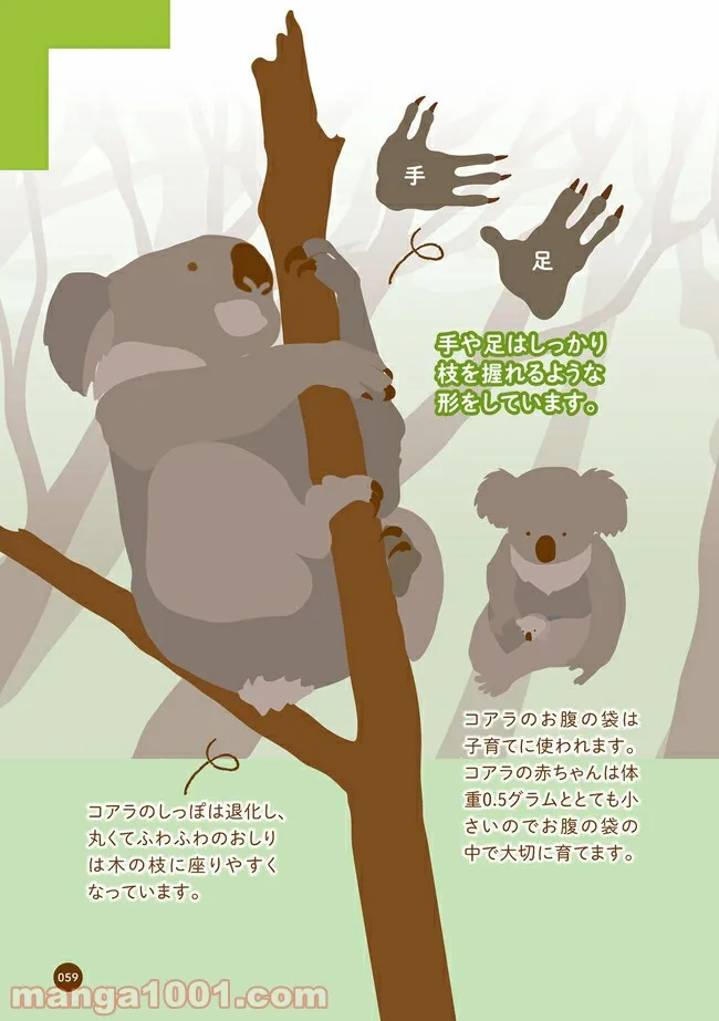 クマが肥満で悩んでます　動物園のヒミツ教えます 第7話 - Page 2